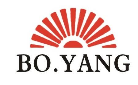 Anqiu Boyang Machinery Manufacture Co;Ltd
